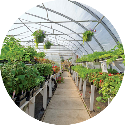 Horticulture and Agriculture industry1