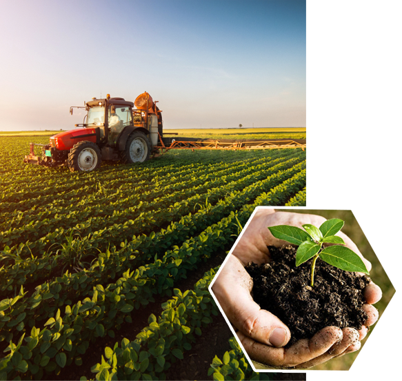 Vermiculite Manufacturers in India